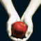 Twilight, Stephenie Meyer