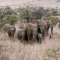 Big Five Marathon, Zuid-Afrika