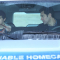 11. The Fundamentals of Caring