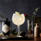 Hendrick’s Orchard Collins