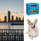 ‘Friends’-Trivial Pursuit, puppy en reis naar New York