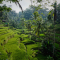 Bali, Indonesië