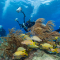 Florida Keys National Marine Sanctuary, Verenigde Staten