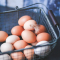 Les oeufs