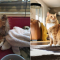 Cloë haalde de rosse kater Frey in huis