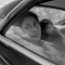 Roma (2018)