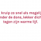 Noor (28)