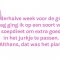Fenne (28)