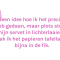 Roxanne (22)