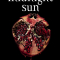 ‘Midnight Sun’ van Stephenie Meyer