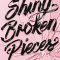 ‘Shiny Broken Pieces’ van Sona Charaipotra