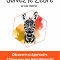 Suivez le zèbre