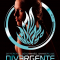 Divergente – Veronica Roth