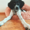 Babs (1)