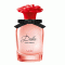 Rose Dolce