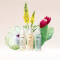 Botanical kineticsTM van Aveda