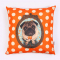 Urban Outfitters: kussen – 40,00 euro