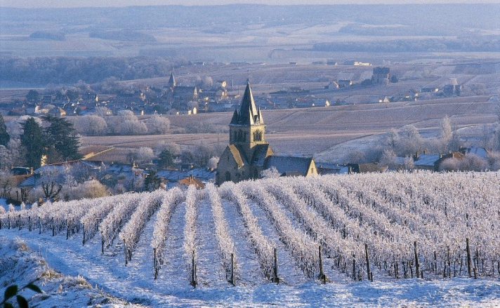 Reims