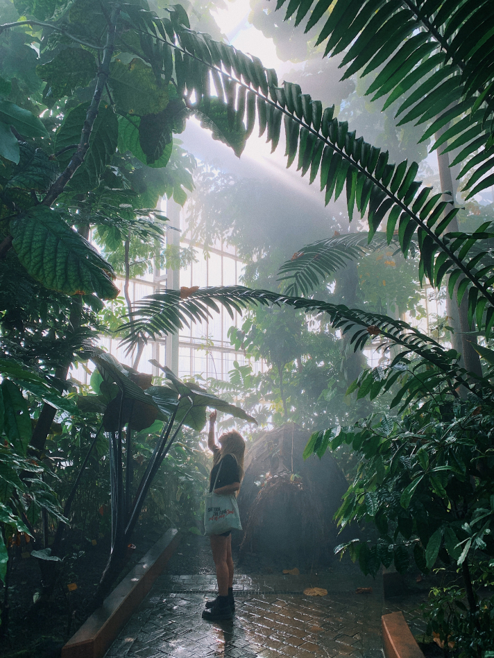Le jardin Botanique de Meise