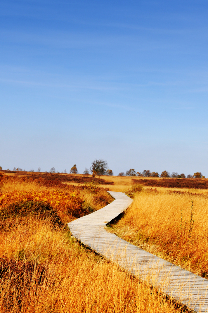 Le Plateau des Hautes Fagnes