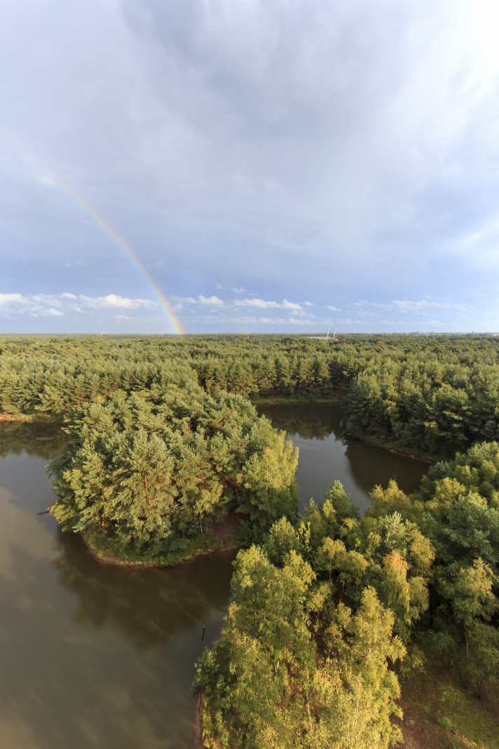 Le Sahara de Lommel