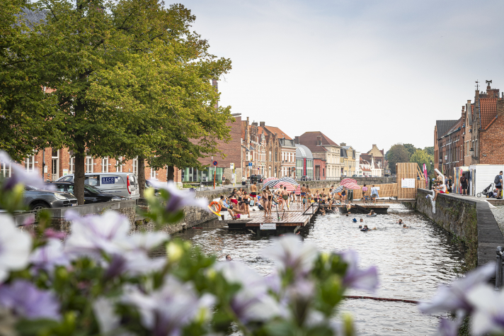 Nager dans les canaux de Bruges