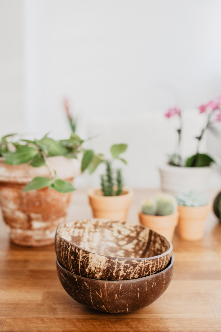 Les assiettes en plastique