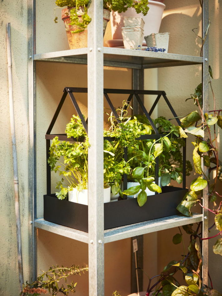 Amenez la nature sur votre terrasse