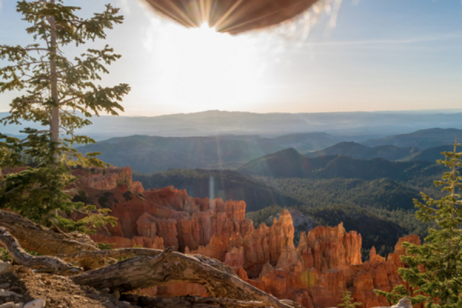 Nutscaping een nieuwe trend?