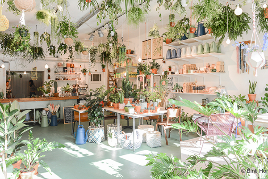 Wildernis Amsterdam