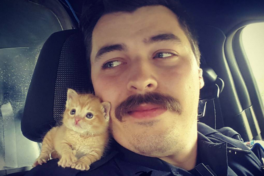 Adorable Le Selfie D Un Policier Moustachu Et De Son Chaton Roux