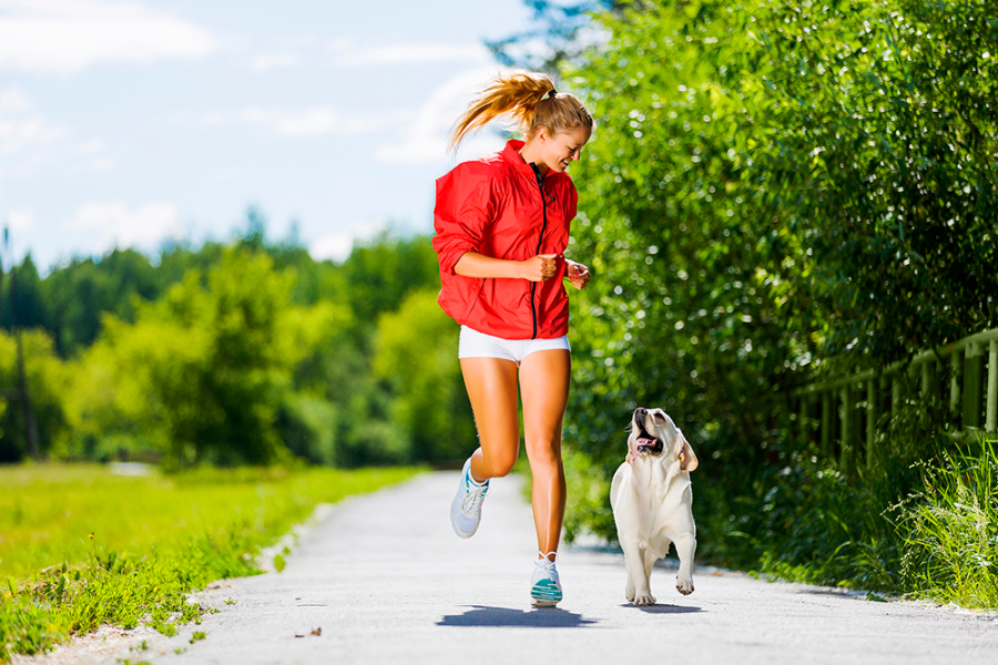 Running Dog, la super course pour les amoureux des chiens