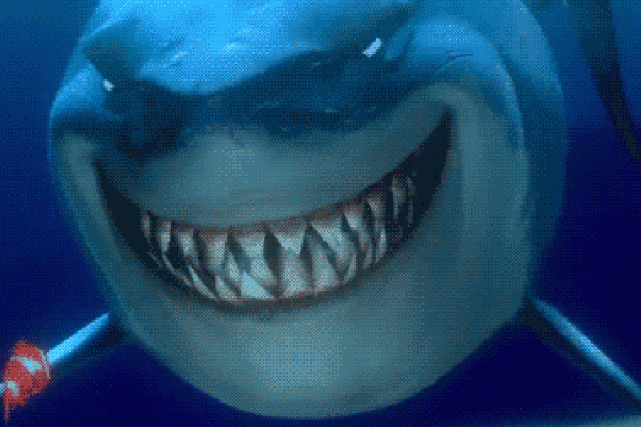 VIDÉO on a enfin la preuve que les requins sont ultra sympas!