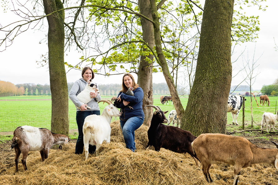 Rencontre avec les fondatrices du refuge pour animaux "Le