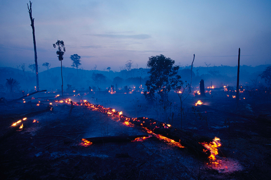 Het Amazonewoud staat in brand: alles wat je moet weten