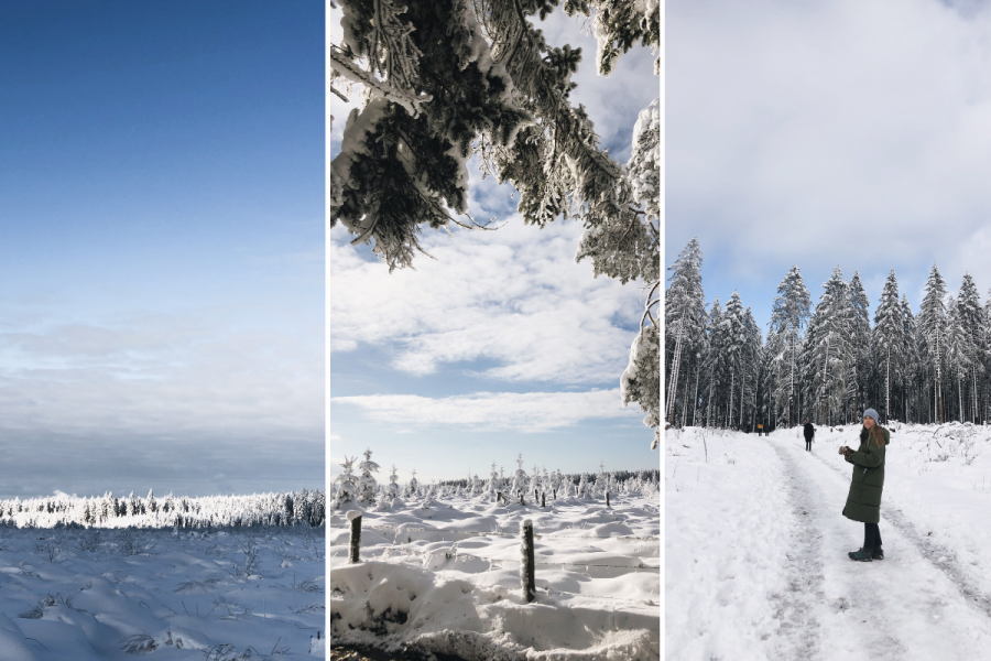 10 Lieux Dans Les Ardennes Ou Profiter De La Neige Et Eviter La Foule