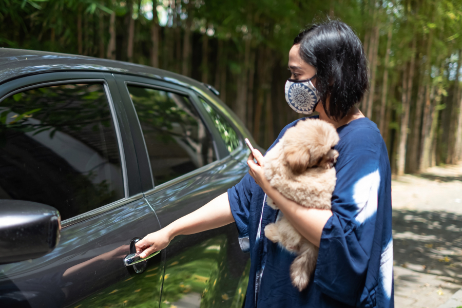 Uber lance l'option Uber Pet pour voyager avec son chien