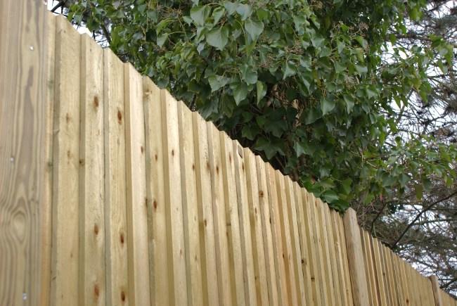 Woodwall Plus Special Fences