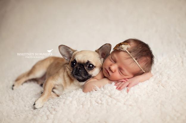 Bebes En Photo Avec Un Chien Femmes D Aujourd Hui