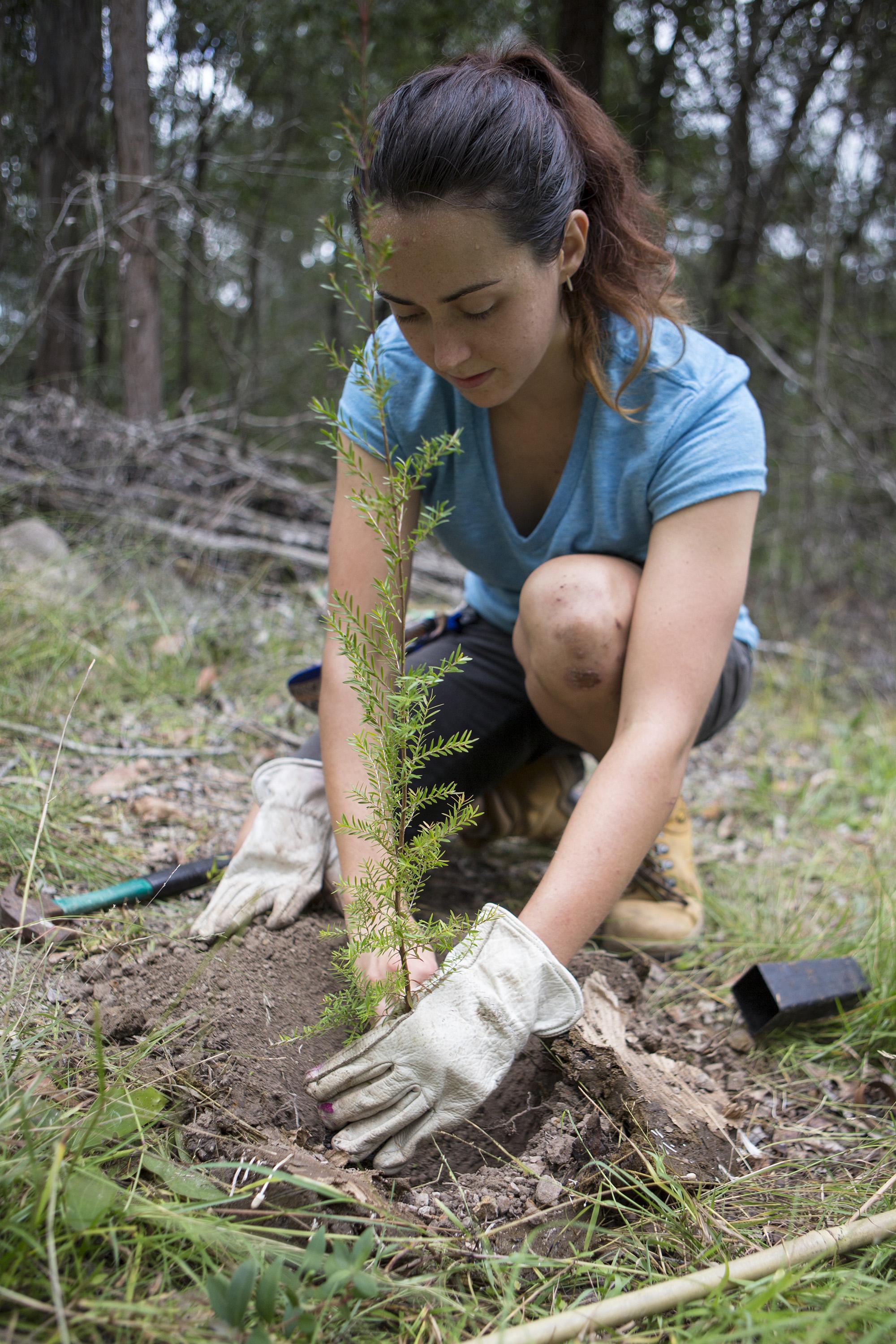 Que faire au jardin en septembre? - Femmes d'Aujourd'hui