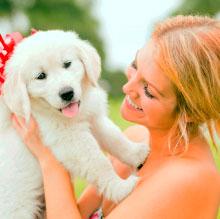 Des Bebes Animaux Trop Mignons Femmes D Aujourd Hui