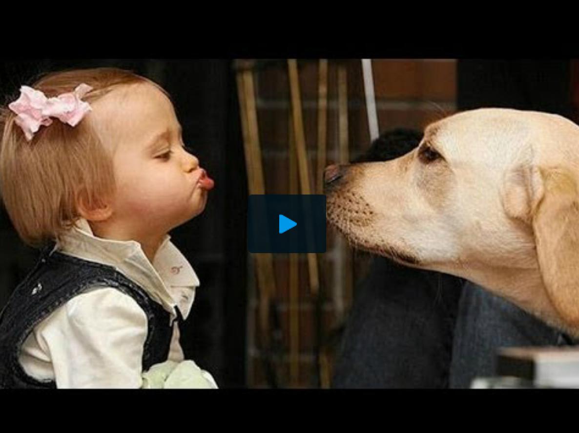 Video Trop Mignons Ces Bebes En Conversation Avec Leur Chien Femmes D Aujourd Hui