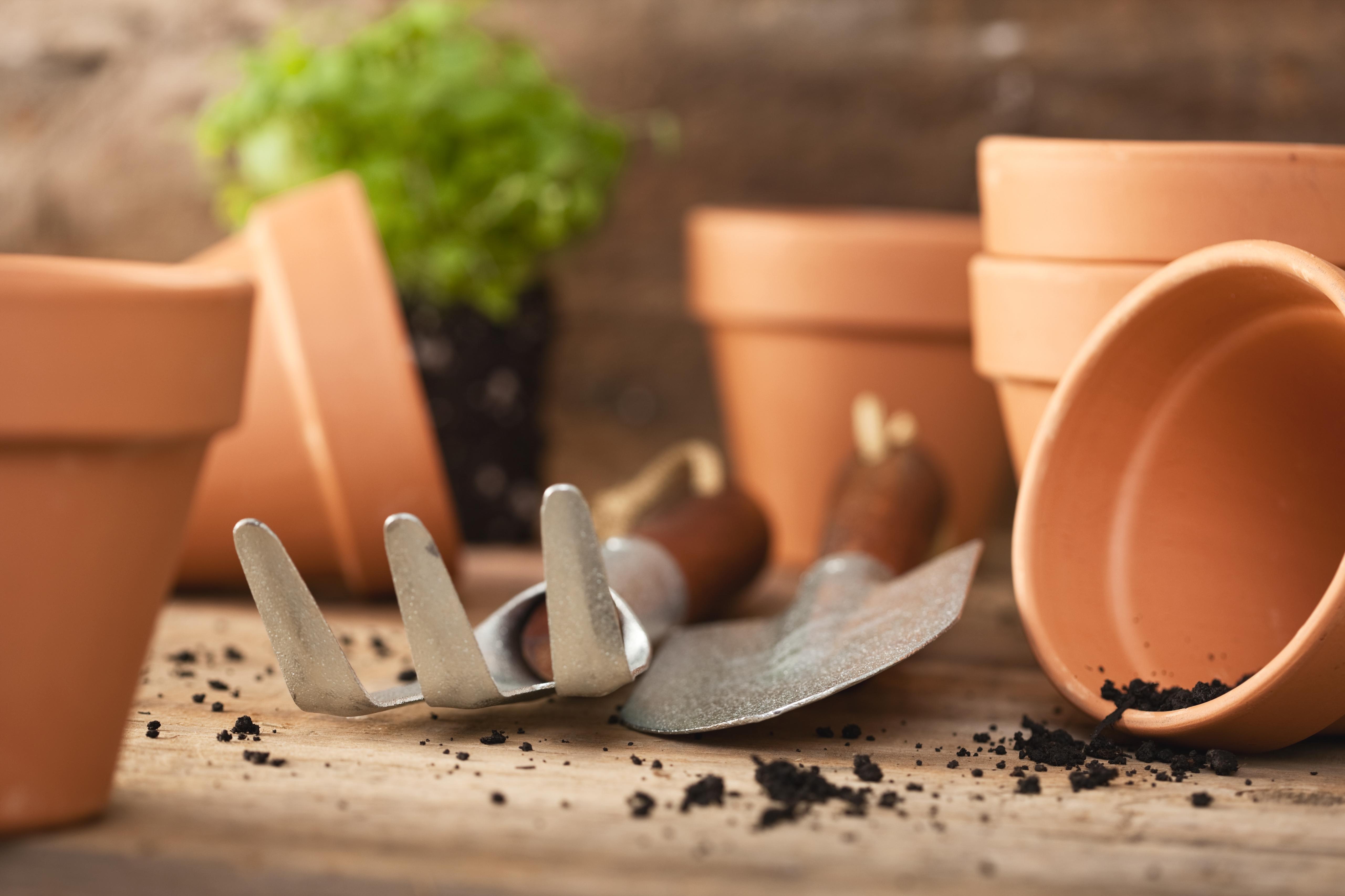 Culture en pot rarement un gain de temps Femmes d'Aujourd'hui