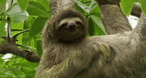 Images et smileys...en joutes - Page 20 Giphy-gif