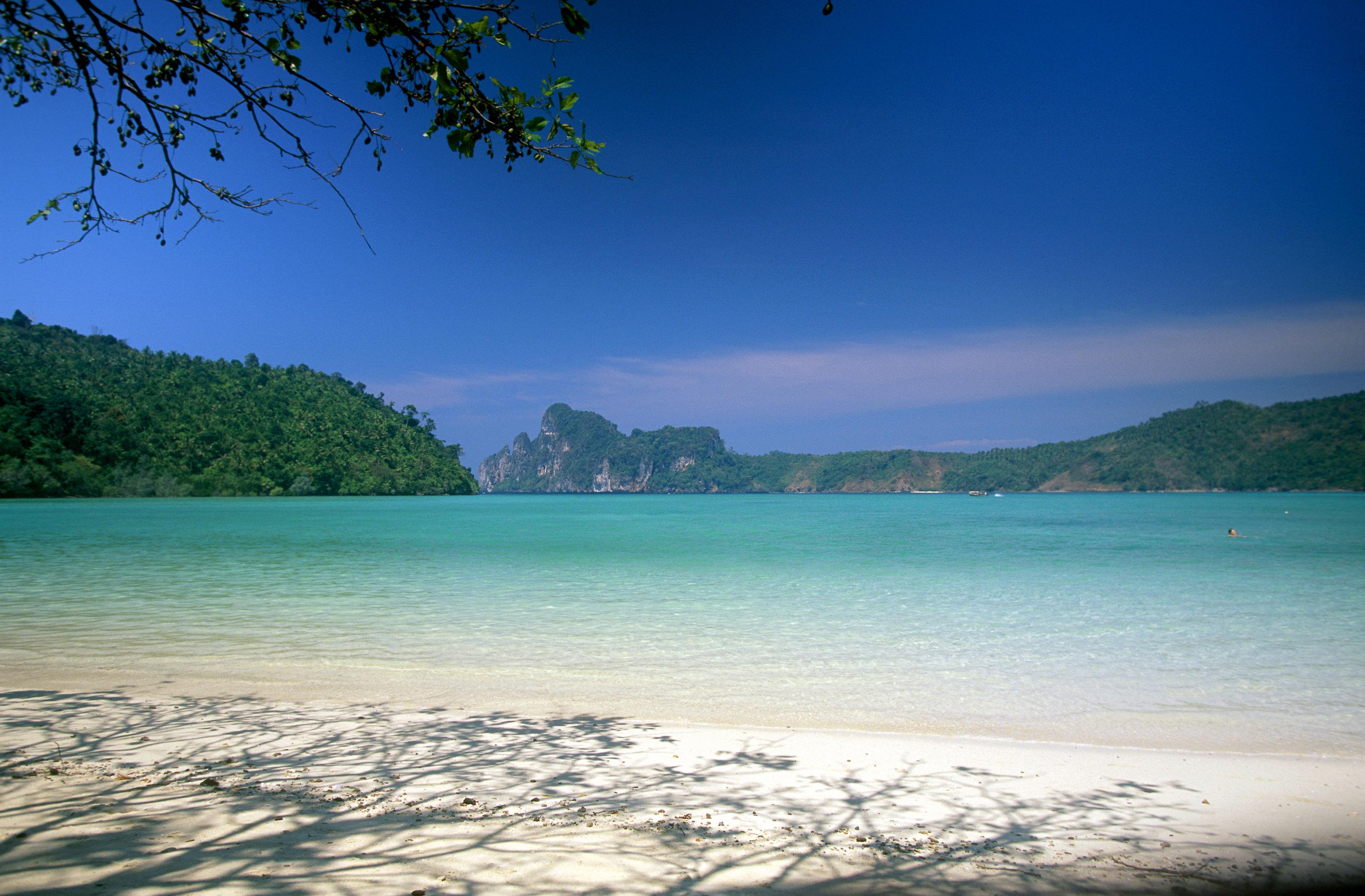 La Baie Du Film La Plage Située En Thaïlande Est Fermée