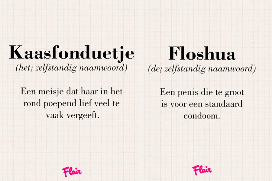 Woordenboek word