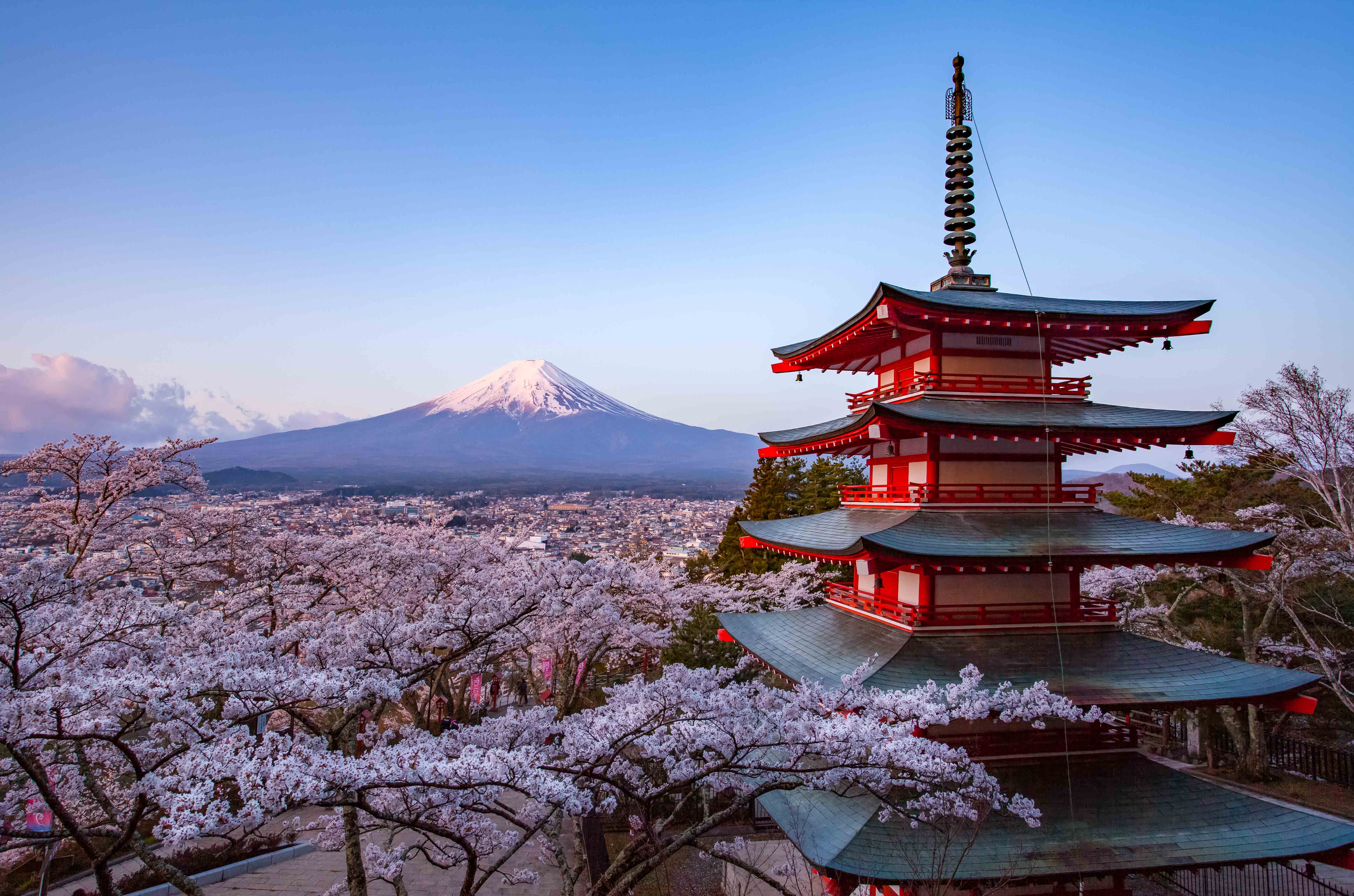 Les Plus Belles Photos De La Floraison Des Cerisiers Du Japon Les Plus Belles Photos De La Floraison Des Cerisiers Du Japon