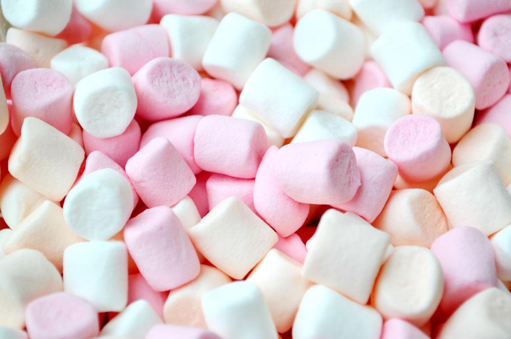 Un marshmallow pourraitil définir notre réussite? Femmes d'Aujourd'hui