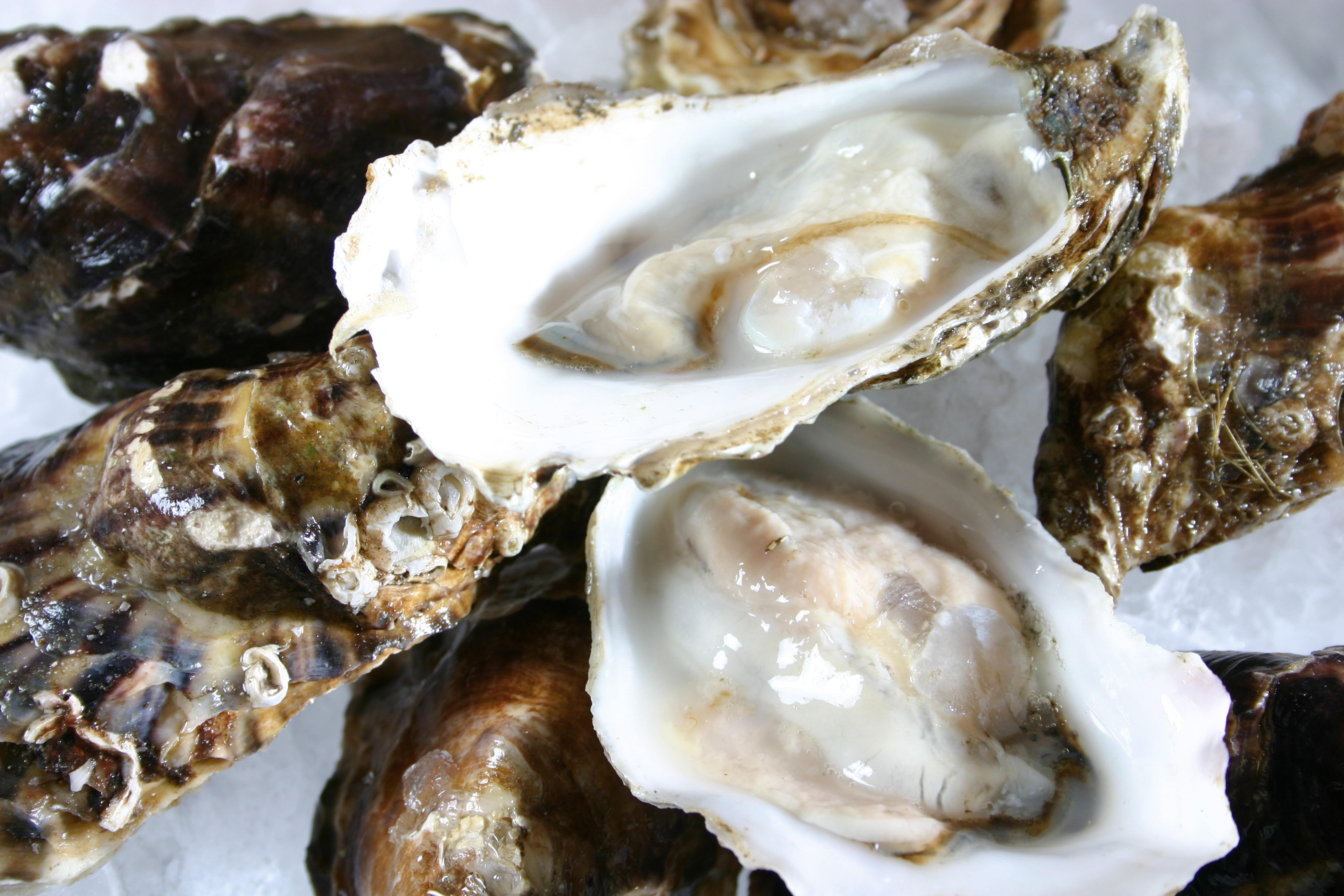 Comment ouvrir les huîtres facilement ? – L'Huîtrerie