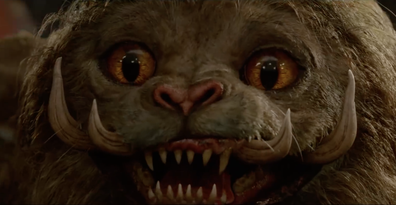 Scene Post Generique Les Animaux Fantastiques La dernière bande-annonce surpuissante des Animaux Fantastiques 2